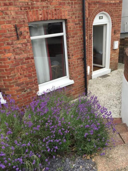 Spacious 5 Large Bedroom Victorian House - Beach 2 Miles 풀 외부 사진